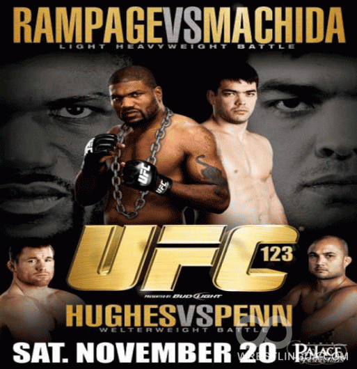 Результаты турнира UFC 123