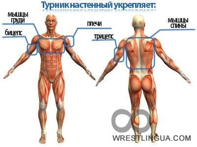 Эх, раз, ещё раз...Учимся подтягиваться на перекладине.