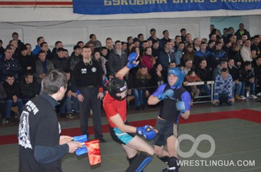 Рекордное количество болельщиков на чемпионате области по панкратиону